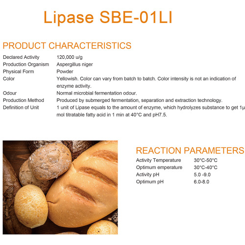 Concentrated Lipase enzyme for dairy