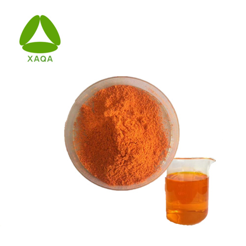 Shiitake Extract Health Care Materials Curcumin 99% Powder Antioxidants Factory