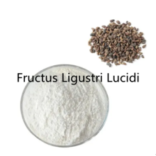 Buy online Fructus Ligustri Lucidi Extract powder