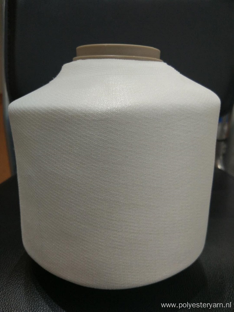 Polyester Embroidery Thread Raw White