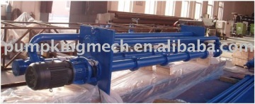Centrifugal API610 VS4Petro Sump Pump LYD series