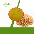 Free Sample Mustard Seed Extract