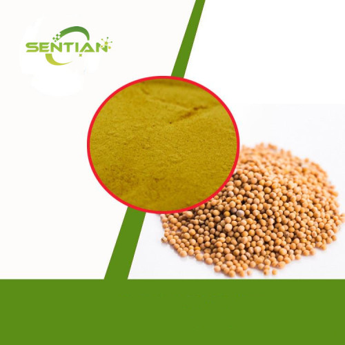 Free Sample Mustard Seed Extract