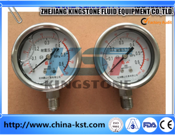 high quality low price stainless steel pressure gages