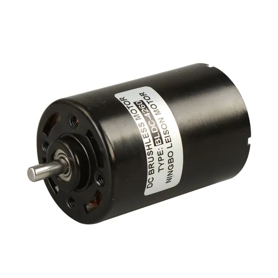 Customizable 15W RC Micro BLDC Motor with Dual Shaft