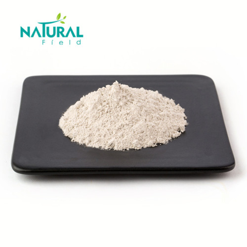 Liver'S Protecting Health Material Health care supplements pueraria extract 98% puerarin powder Supplier