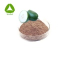 Wintermelone Chinesisches Wassermelonen-Extrakt-Pulver