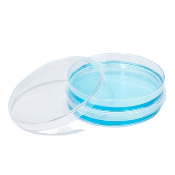 High Transparency Plastic Petri Dish 90mm Disposable Culture Dish