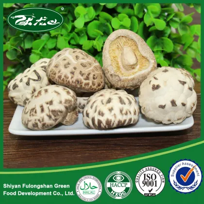 Dreid Flower Mushroom