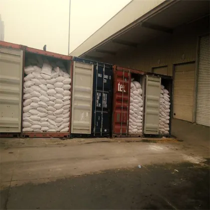 Feed Yeast 60% Powder inactive dried yeast