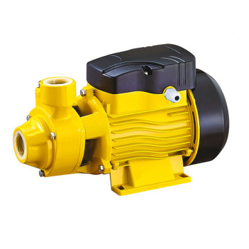 Bomba de Agua QB60 : 1/2hp AC Eléctrica Periférica Centrífuga Pequeña Vórtice