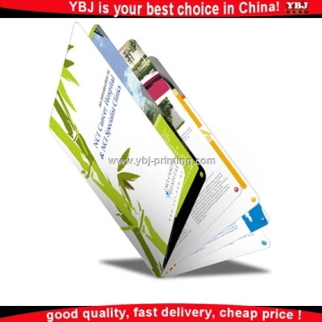 Printing service for flyer/Booklet/brochure/catalog printing with Good quality