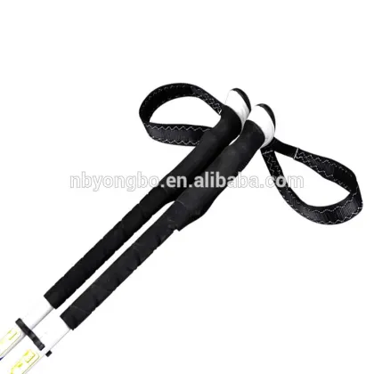 Factory price good quality skating stick roller ski pole skating pole