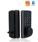 S110BBL-F Smart Lock