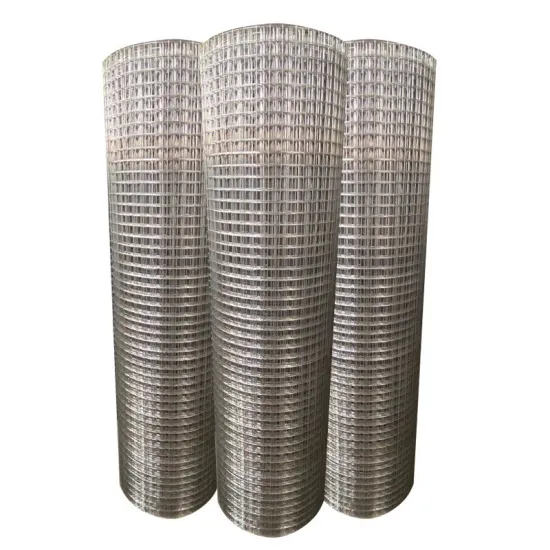 Factory Price 20 Gauge Stainless Steel Welded Wire Mesh
