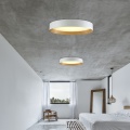 Popular Modern Aluminium Ceiling Light 3000K Fixture