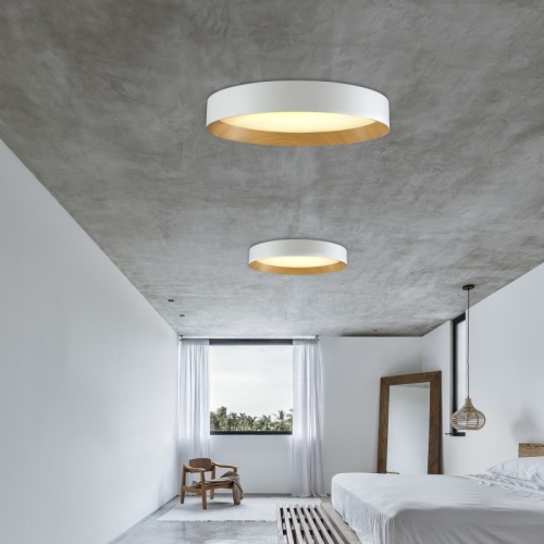 Popular Modern Aluminium Ceiling Light 3000K Fixture