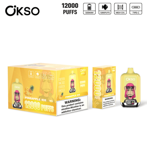 OKSO Digital 12000 Puffs Disposables Vape Box Netherlands
