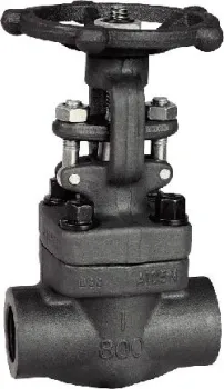 Forge Steel Gate Valve