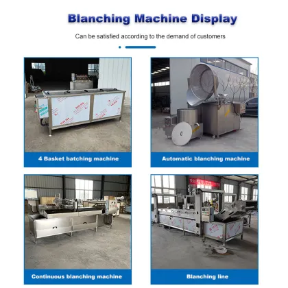 Boiling Cooking Blanching Machine for Peanuts, Almonds, and Hazelnuts