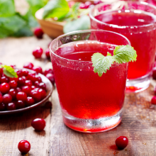 Wholesale cranberry fruit powder