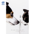 8mm EM4305 Animal RFID Implan Implan Dog ID Microchips