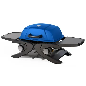 Portable Outdoor 2 Burner Gas Grill Table Top