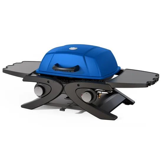 Portable Outdoor 2 Burner Gas Grill Table Top