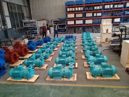 2BV2 070-EX NASH Single Stage Explosion-Proof Vacuum Pump, 3 HP