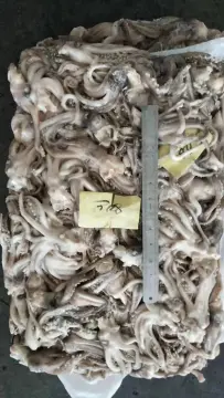 Frozen Squid Tentacle Illex Argentinus 80-100g