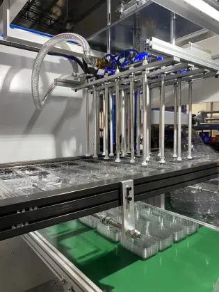 PP/PET Plastic Thermoforming Machines for Food Container Making