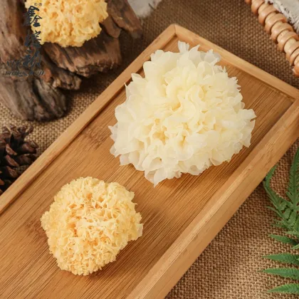Organic Golden Tremella Fungus Wholesale Dried Mushrooms
