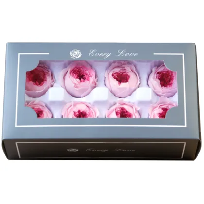 Wholesale Natural Preserved David Austin Roses 4-5cm Diameter Two-Tone Preserved Flowers at Reasonable Prices