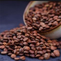 روغن بذر فله Spina Date