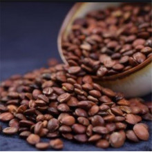 روغن بذر فله Spina Date