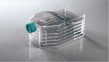 Multi-layer 5-layer cell culture flask with Vent Cap