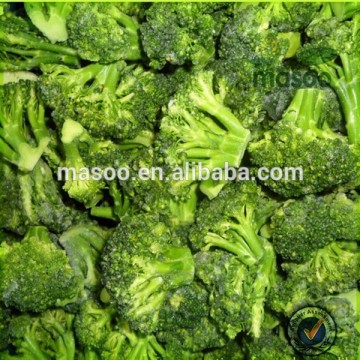 Top quality best selling China origin frozen green broccoli