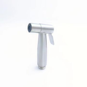Stainless Steel Wall-Mounted Bidet and Shower Sprayer for Modern Bathroom