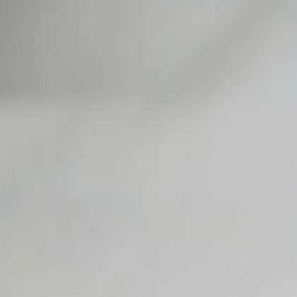 Polyester Greige Fabric Grey Textile Raw Material