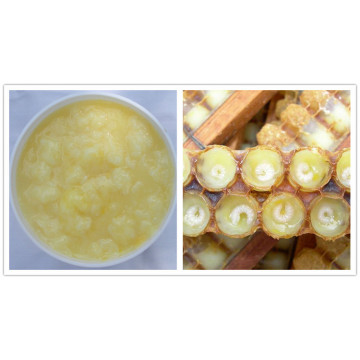 ISO Factory Supply Best Royal Jelly