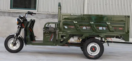 low speed electric car solar powered electric car