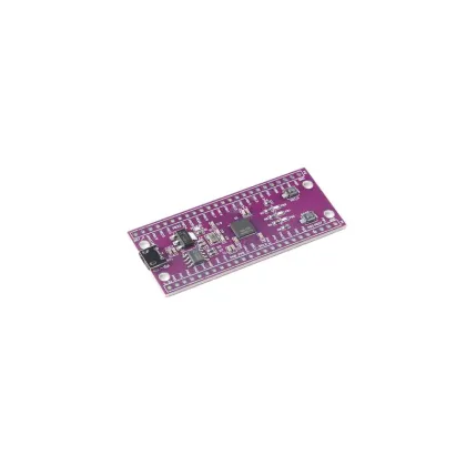 STM32 W806 Microcontroller 240MHz IoT Development Board with CH340 and CDK