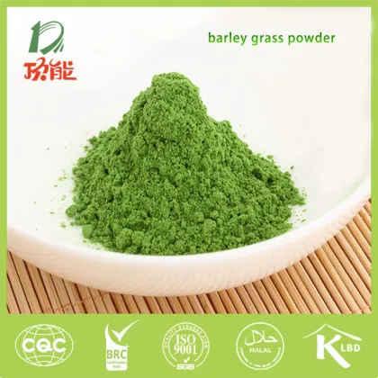 barley grass powder with good quality for food