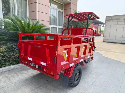 Powerful Motor Tricycle for Transport
