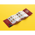 Folheto profissional de marketing de seis vezes
