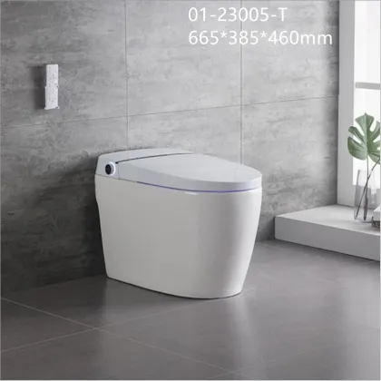 Mobile Intelligent Toilet for Five-Star Hotels