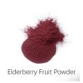 High Quality Black Elderberry Extract Polyphenols 1%