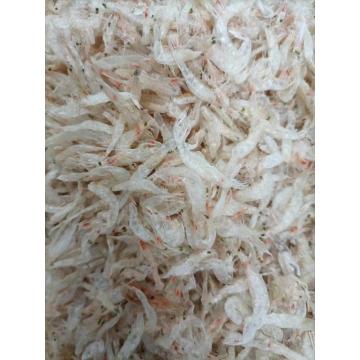 শুকনো ছোট চিংড়ি