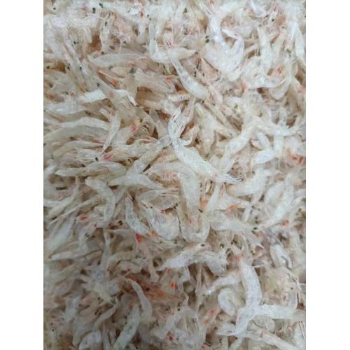 میگوی کوچک خشک شده