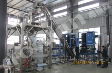 Full automatic Tube Ice Packing Machine